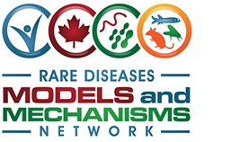 Rare Diseases Models and Mechanisms Network